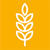 QS ICON FUTTERMITTEL NEG