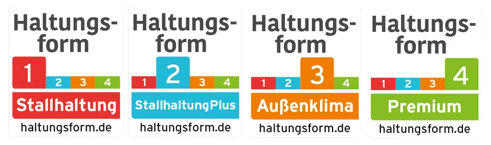 Vier Stufen Der Haltungsform