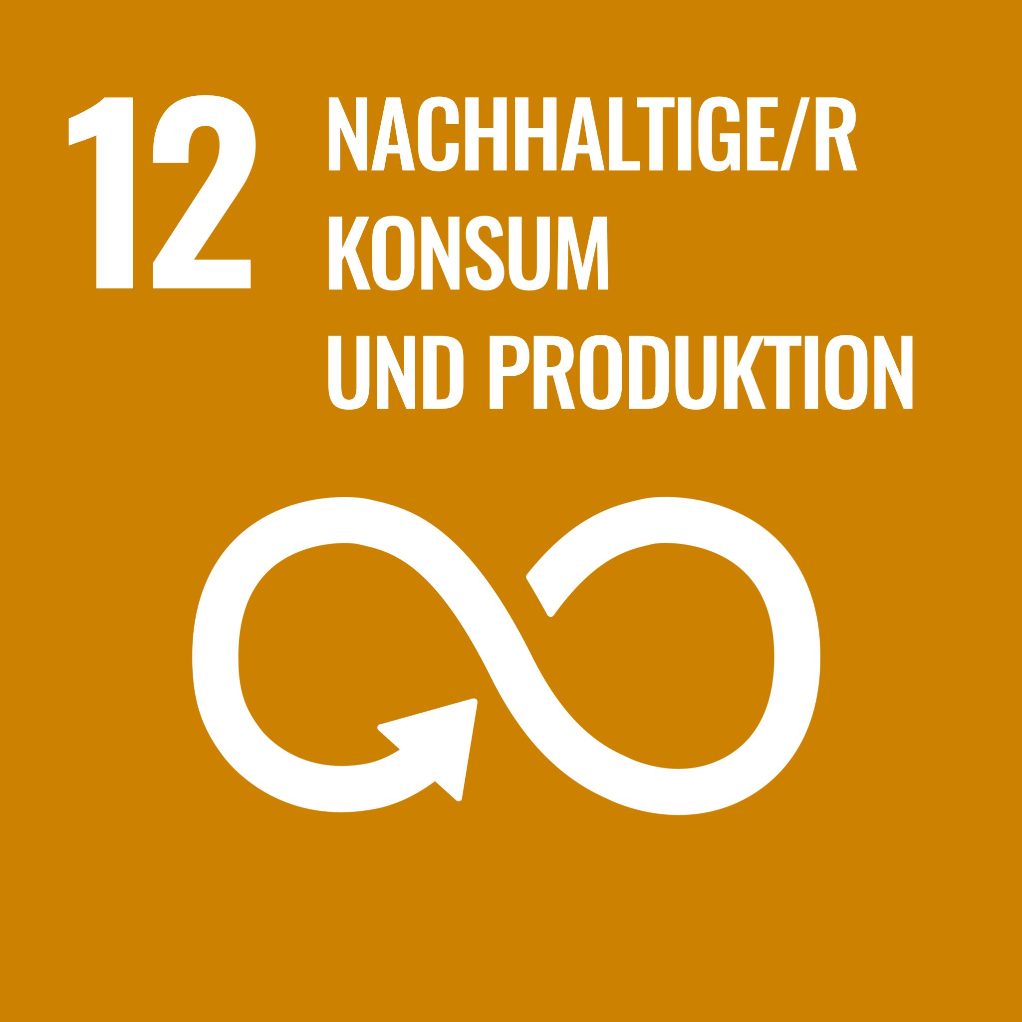 SDG Icons DE 12