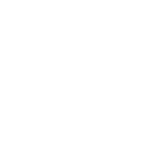QS ICON MONITORING NEG TRANSPARENT