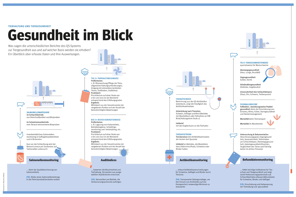 QS Tiergesundheit Infografik Berichte