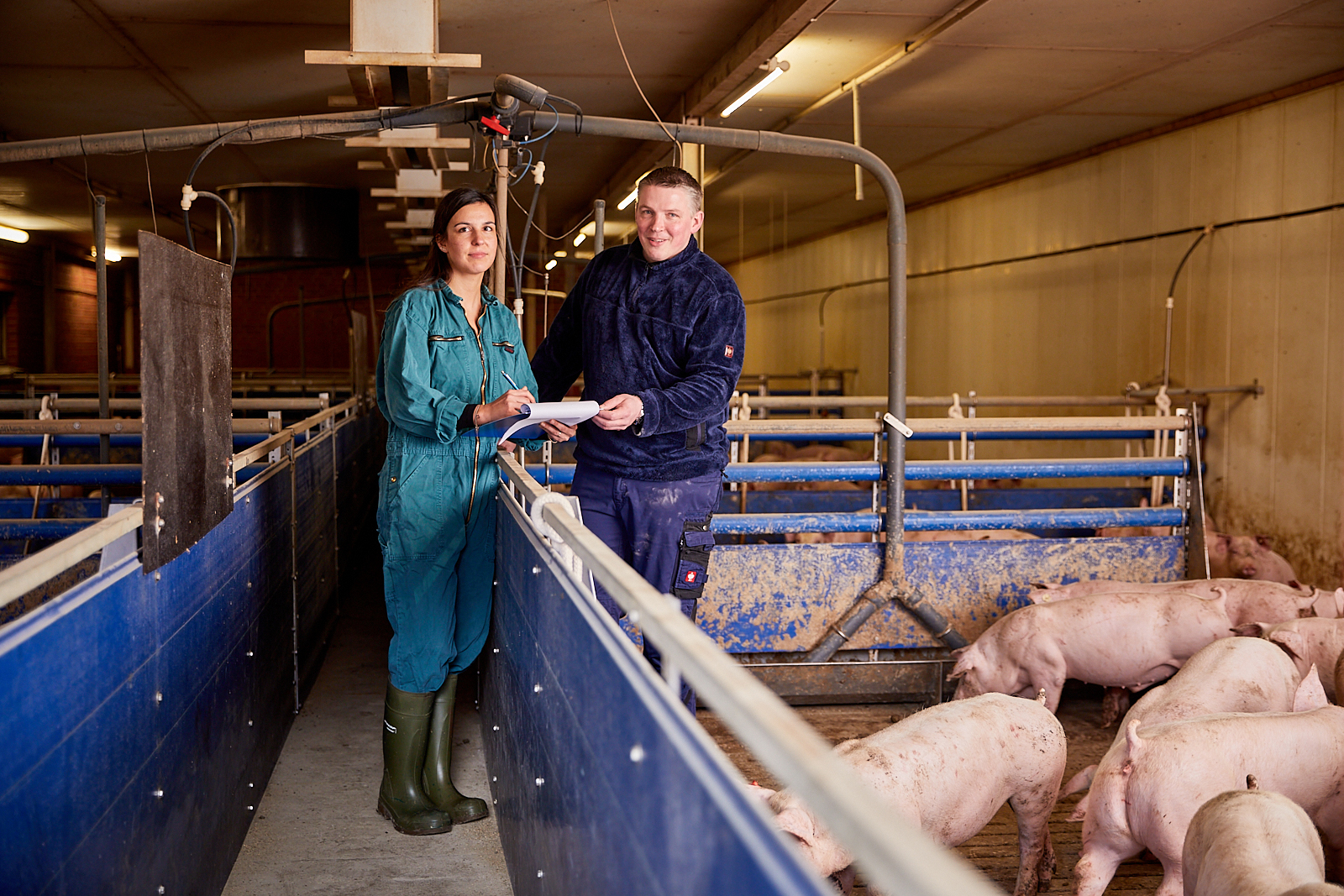 QS Audit Landwirtschaft QS Audit Landwirtschaft