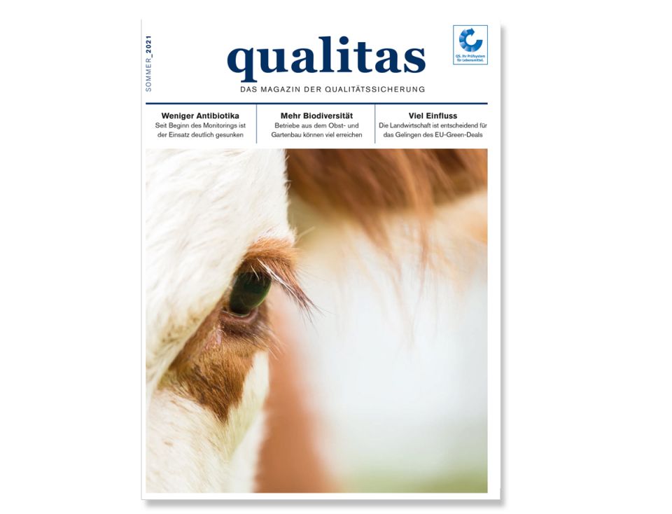 Teaser Qualitas Sommerausgabe 2001