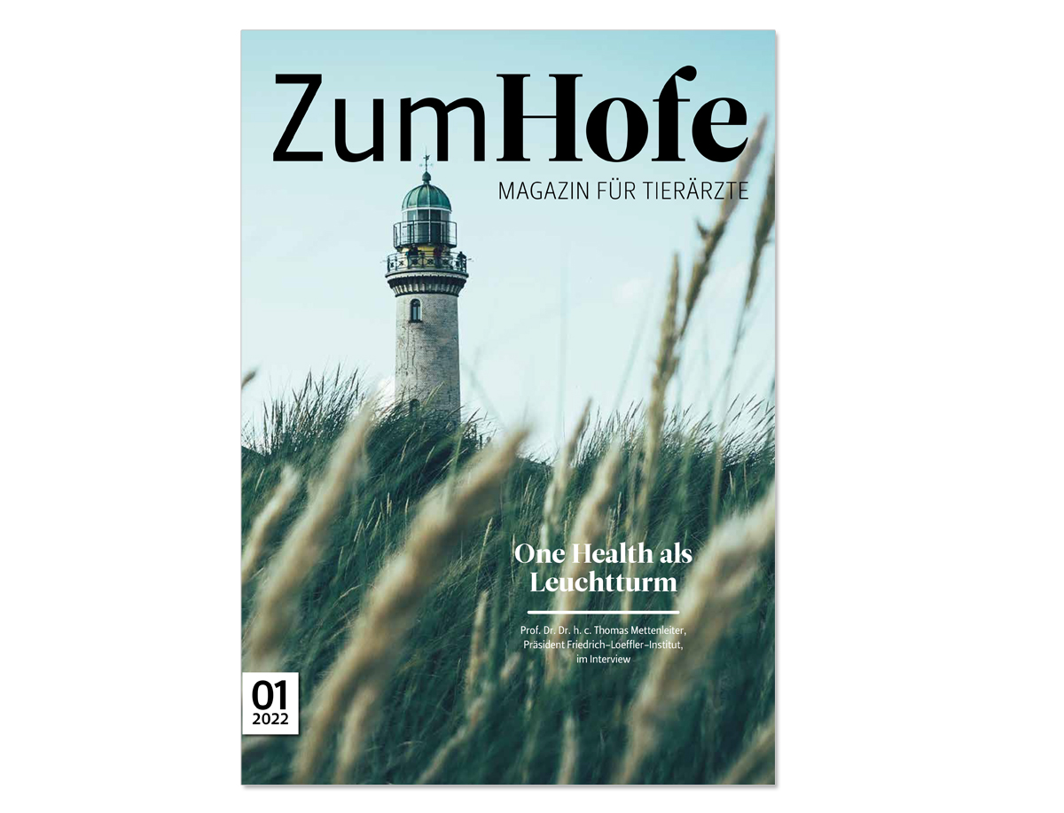 Teaser Zum Hofe 1 2022 Teaser Zum Hofe 1 2022