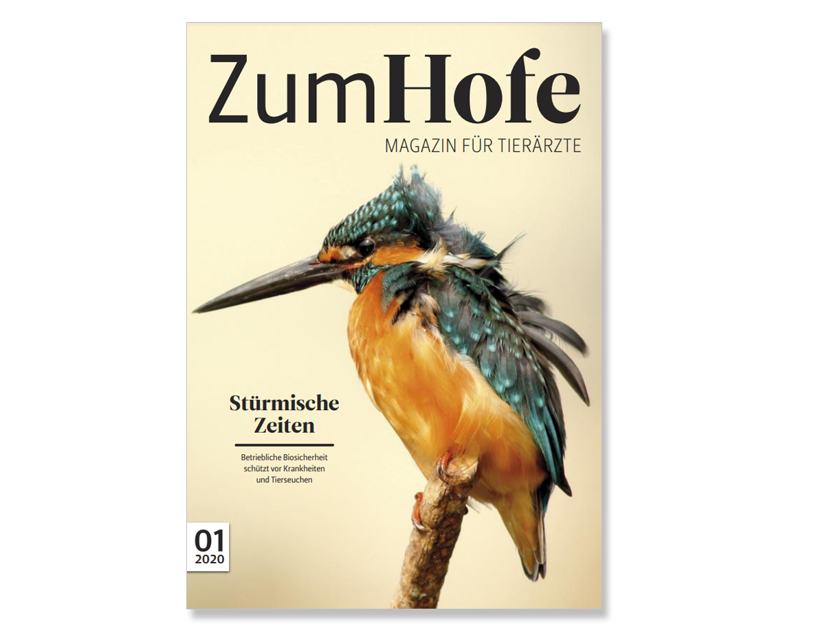 Teaser Zum Hofe Teaser Zum Hofe