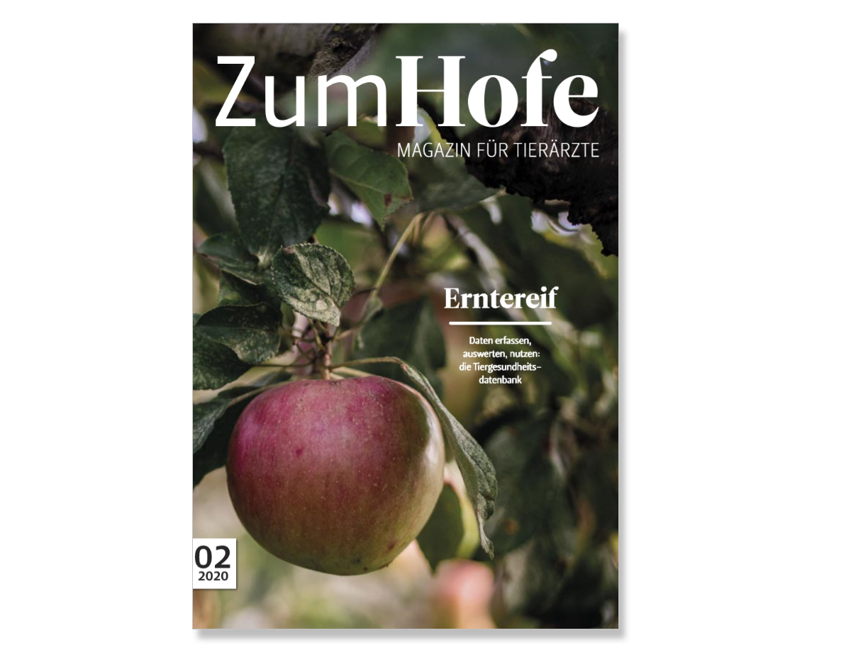 Teaser Zum Hofe 2 2020 Teaser Zum Hofe 2 2020