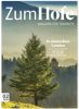 Zum Hofe 2 2019 WEB Zum Hofe 2 2019 WEB
