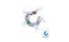 20 10 05 Teaser Neue Systempartner 20 10 05 Teaser Neue Systempartner