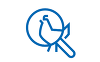 23 05 09 Neuer Informationsbrief Tiergesundheit Teaser 23 05 09 Neuer Informationsbrief Tiergesundheit Teaser