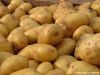 Kartoffeln Kartoffeln