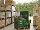 13 10 QS Obsthof Eckert 10582 13 10 QS Obsthof Eckert 10582