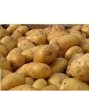 16 07 12 Pflanzkartoffeln BVL Ergänzt Zulassungsbestimmung Teaser 16 07 12 Pflanzkartoffeln BVL Ergänzt Zulassungsbestimmung Teaser