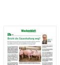 17 03 13 Interview Nienhoff V2 Teaser 17 03 13 Interview Nienhoff V2 Teaser