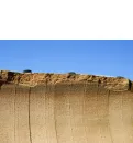 18 08 17 Notsituation Bei Der Futtermittelversorgung Einsatz Von Maissilage Teaser
