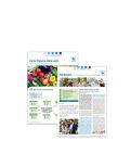 19 04 09 QS Report Fvp New Issue Teaser 19 04 09 QS Report Fvp New Issue Teaser