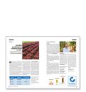 Eurofruit Magazine Qs Teil4 Teaser Eurofruit Magazine Qs Teil4 Teaser