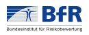 Bfr Logo Bfr Logo