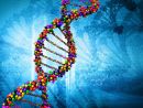 DNA Fotolia 32859465 XL DNA Fotolia 32859465 XL