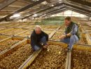 Im Kartoffellager Im Kartoffellager