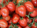 Tomaten Tomaten