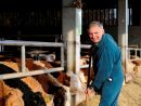 Landwirt im Stall Landwirt im Stall