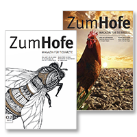 Zum Hofe Teaser Nov 16 Zum Hofe Teaser Nov 16