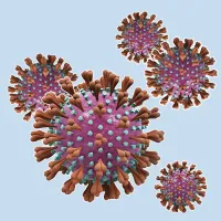 20 03 23 Ausbreitung Coronavirus  Verzicht QS Audits Kopie
