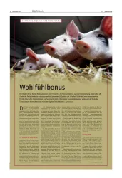 Artikel LZ 34 S.32-34 24.08.2012