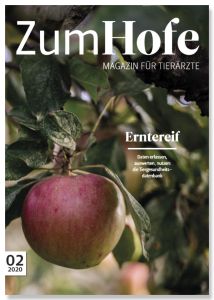 20 11 06 Neue Ausgabe Zum Hofe Erschienen