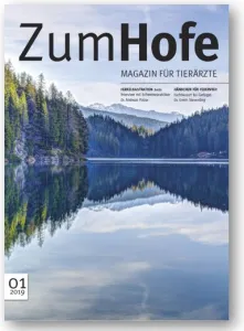 19 05 07 Neue Ausgabe Zum Hofe 0119