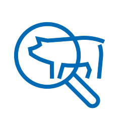 QS ICON BEFUNDDATENERFASSUNG SCHWEIN