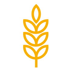 QS ICON FUTTERMITTEL