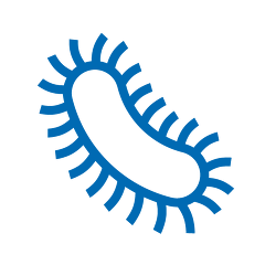 QS ICON SALMONELLE