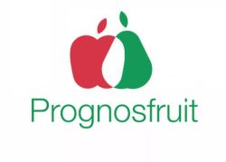 19 08 02 QS Auf Prognos Fruit 2019