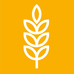 QS ICON FUTTERMITTEL NEG