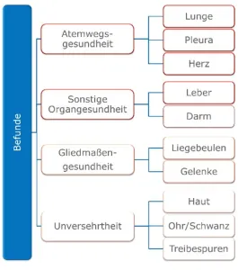 Grafik FAQ Befunddaten