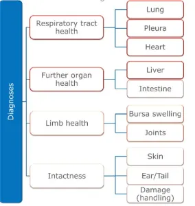 FAQ Diagnostic Data Monitoring In Pigs
