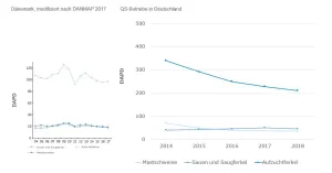 Abbildung 3: DAPD* für Dänemark und für QS-Betriebe in Deutschland. (* Zinkoxid wird in der Berechnung der DAPD nicht berücksichtigt)