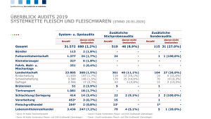Auswertungen Audits 2019   Fleisch