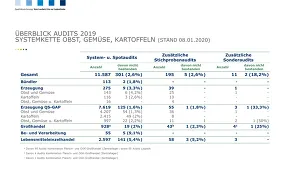 Auswertungen Audits 2019   OGK