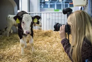 Publikumsmagnet: der ErlebnisBauernhof. Quelle:  Forum Moderne Landwirtschaft e.V.
© FORUM MODERNE LANDWIRTSCHAFT e.V.