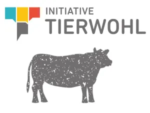 Initiative Tierwohl Für Rind Geht An Den Start