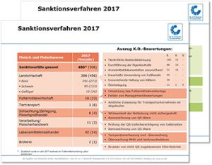 18 01 29 Sanktionsverfahren 2017