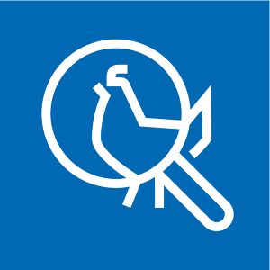 QS ICON BEFUNDDATENERFASSUNG GEFLUEGEL NEG