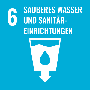 SDG Icons DE 06