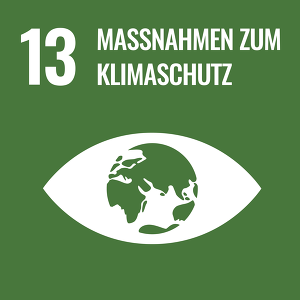 SDG Icons DE 13