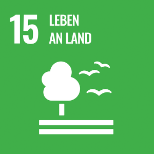 SDG Icons DE 15