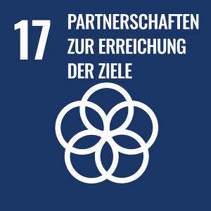 SDG Icons DE 17