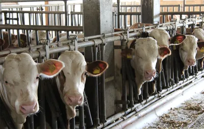 20 11 18 Notfallplan Aktualisiert