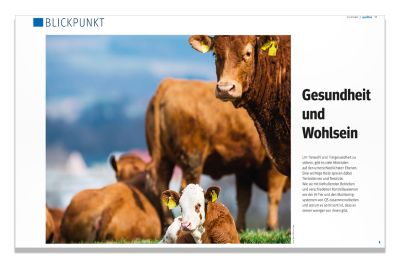 23 08 01 Qualitas Gesundheit Und Wohlsein